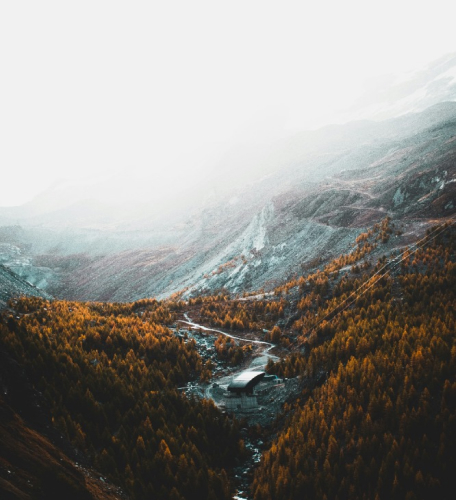 Our Service 02